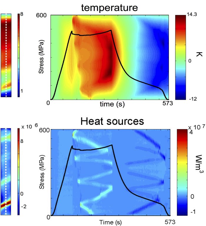 Temperature and Heat source fields associated with Localized phase transformation in a NiTi Shape Memory alloy tube